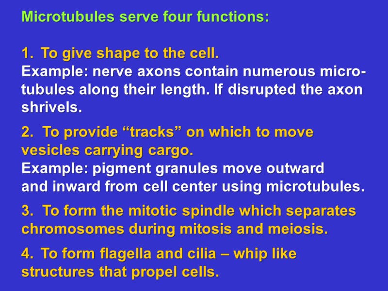 Microtubules serve four functions:  To give shape to the cell. Example: nerve axons